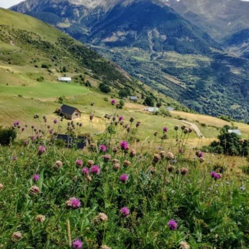 Viaje en autocaravana a Pirineos
