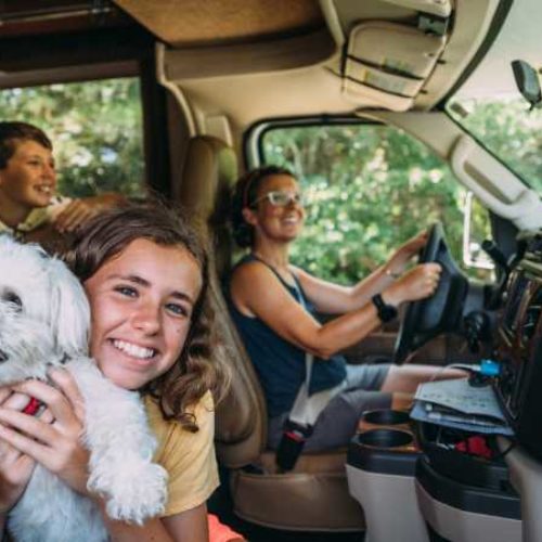 Viajar en autocaravana con mascotas: ventajas y consejos
